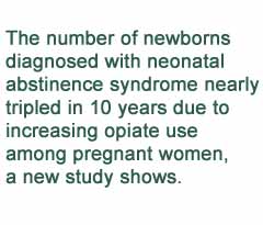Opioids Affect