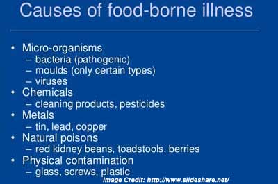 foodborne causes illnesses infection coli diagnosis