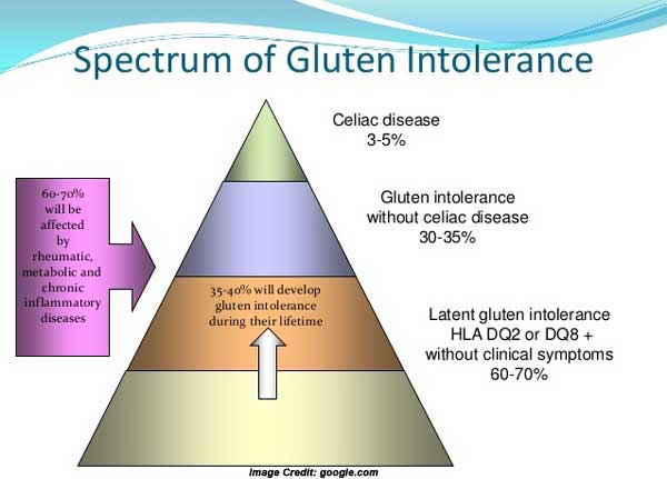 Gluten Free Diet For a Healthy Lifestyle