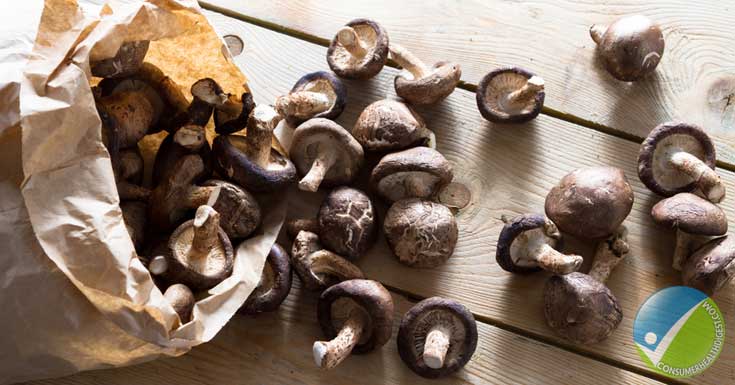 Mushrooms Get Darker and Dark Spots Appear