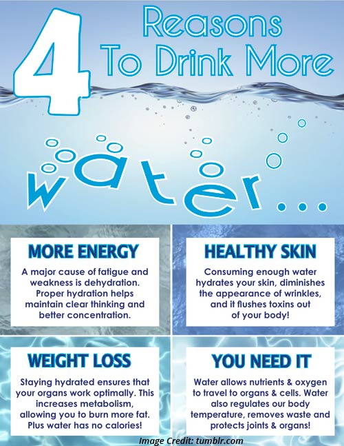 Doe Drinking Water Help Lose Weight