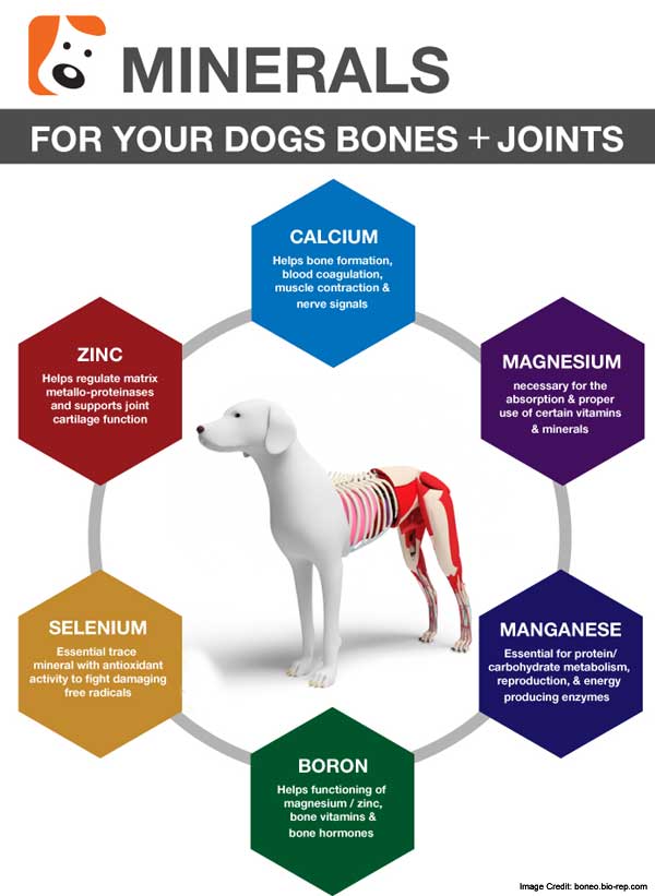 Dog Minerals Info