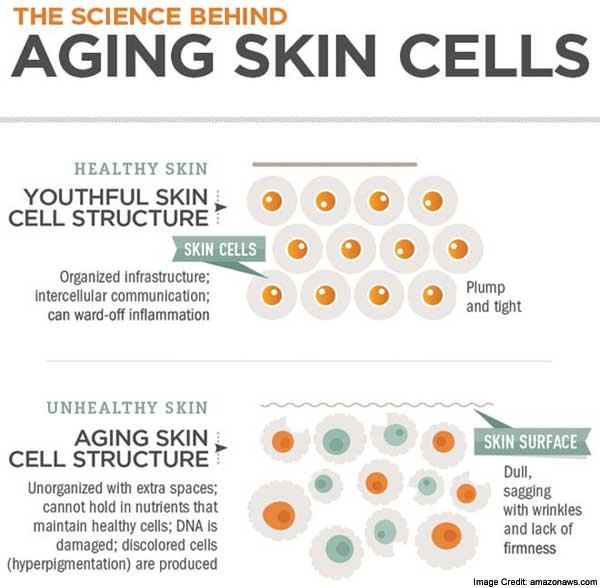 Aging Skin Related