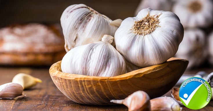 Garlic