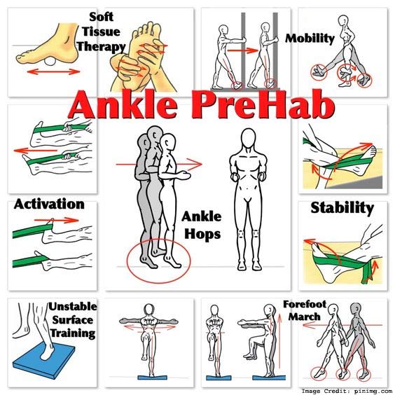 Neurodynamic Mobility