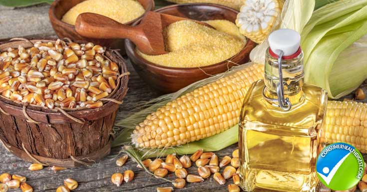 Corn Oil