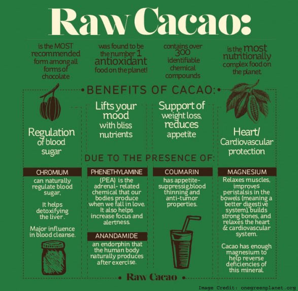 Raw Cocao Info