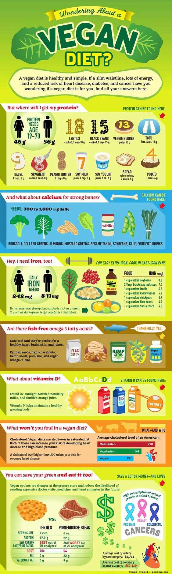 Vegan Diet Info