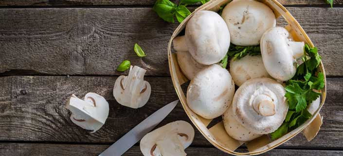 The Magical Nutrition of Cooked Mushrooms You Should Know