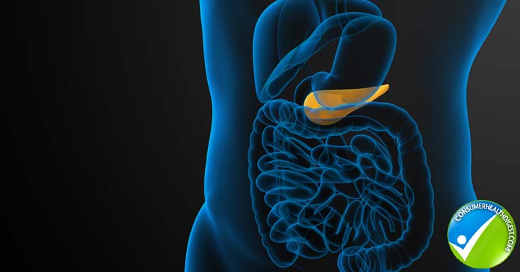 Pancreas