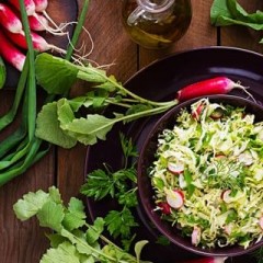 A Plant-Based Diet
