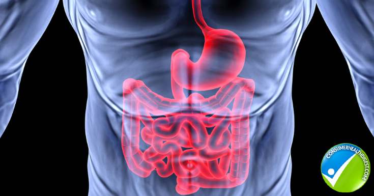 Leaky Gut