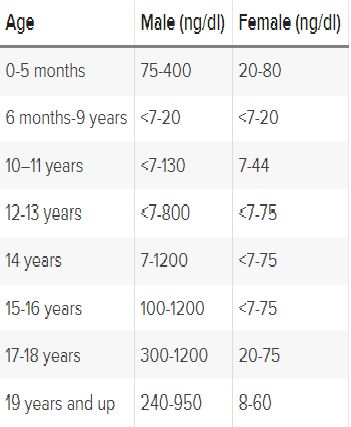 How do you test testosterone levels