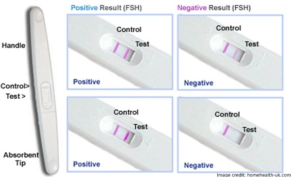 Will Having Sex Every Day Increase My Fertility