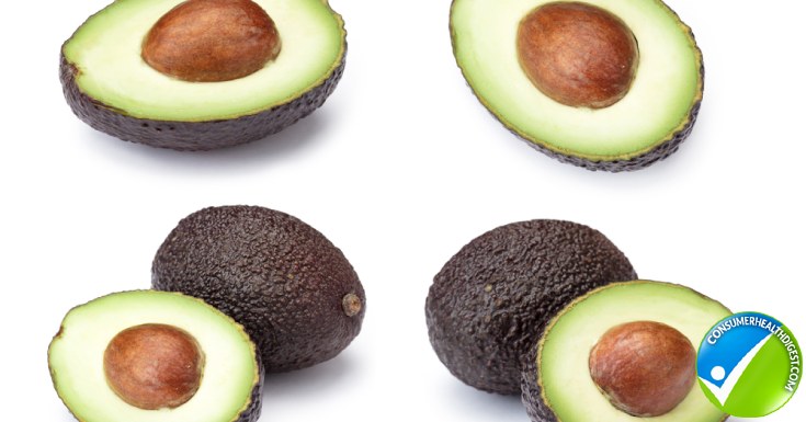 Avocado