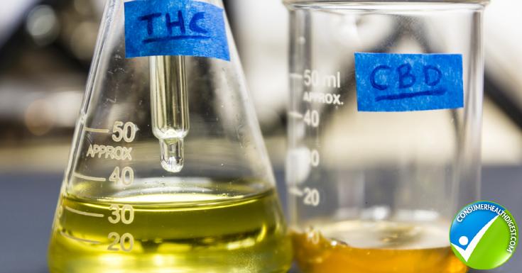 Analysis Of The Tests