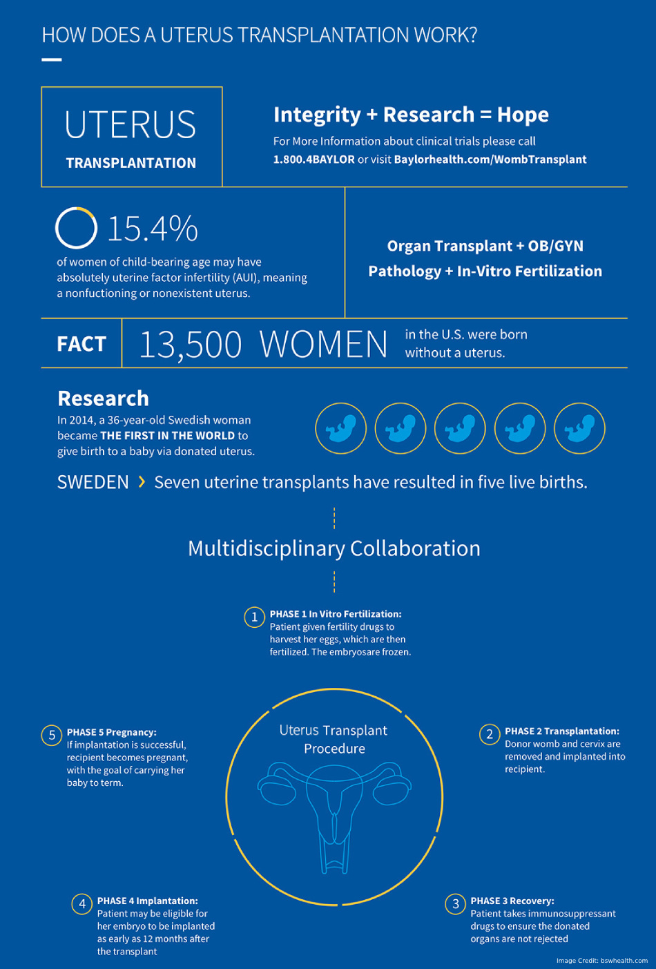 Uterus Info