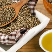 Potential Side Effects Of Hemp Seed