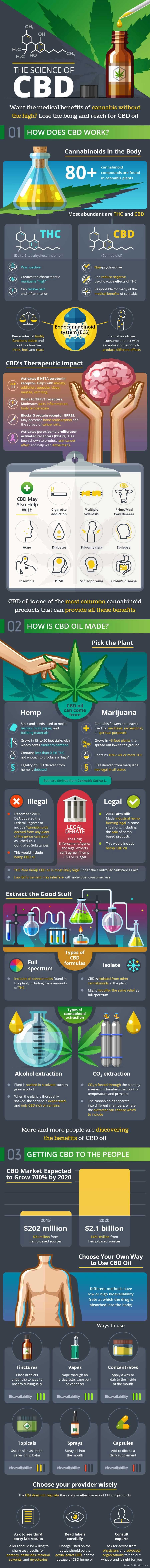 CBD Oil