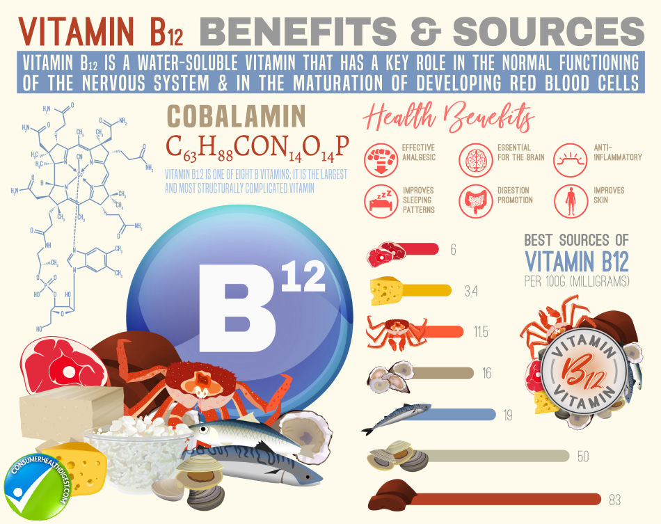 Vitamin B12 Sources Info