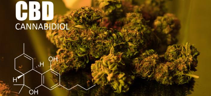Despite Health Benefits Of CBD, Questions Remain On Safety And Legality