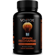 Vostok Brain