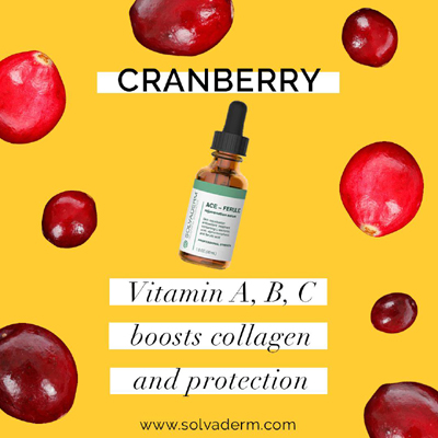 Ace Ferulic