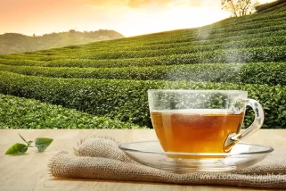 a-cup-of-tea-treat-menopause-symptoms