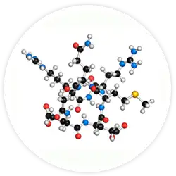 Acetyl Hexapeptid-3 Acetyl Hexapeptid-3