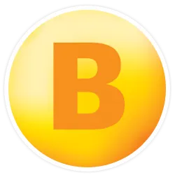 Active B Energy Complex