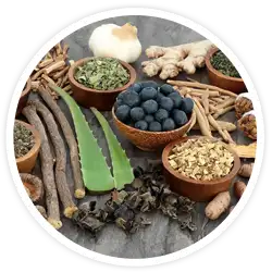 Adaptogen Matrix Adaptogen Matrix