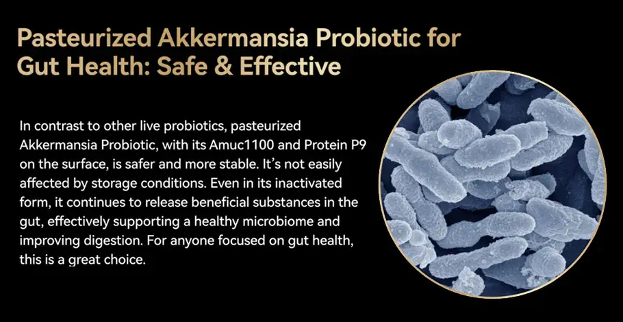 Pasteurized Akkermansia probiotic for gut health support.