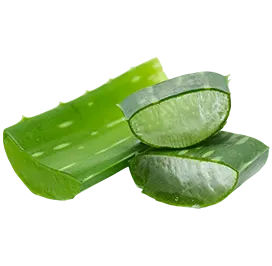 aloe-barbadensis-leaf-extract