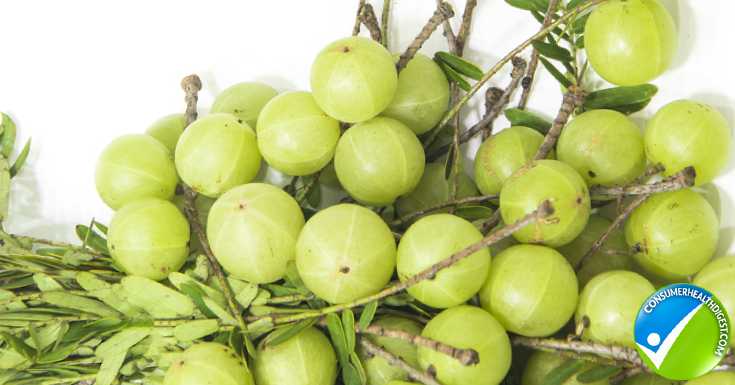 Amla