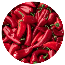 Andalusian Red Pepper Andalusian Red Pepper