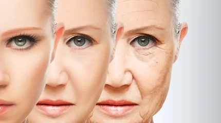 Essential Anti-Aging Ingredients for Skin Health – Must try!