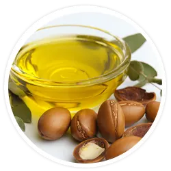 Argan Oil Argan Oil