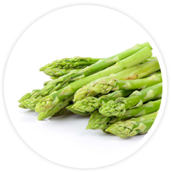 Asparagus Adscendens Asparagus Adscendens