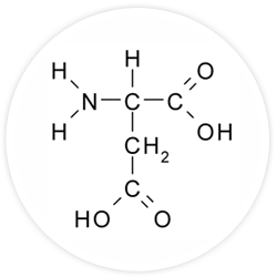Aspartic Acid