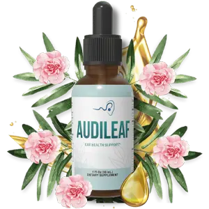 AudiLeaf