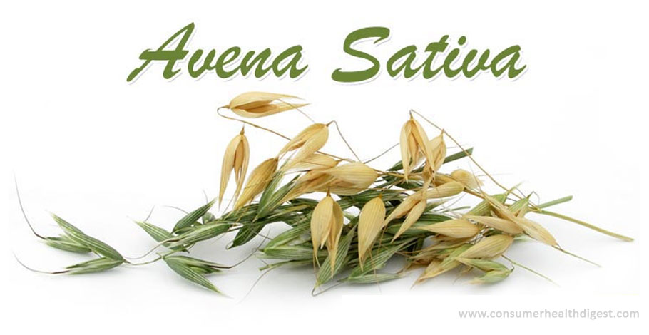 Avena Sativa: Health Benefits, Potential Side Effects and Interactions