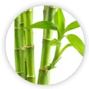 Bamboo Extract