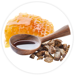 Bee Propolis Extract