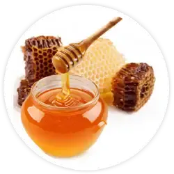 veneno de abeja veneno de abeja