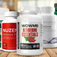 best berberine supplements