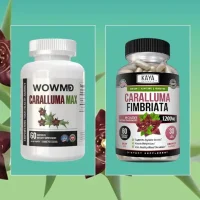 best caralluma fimbriata supplements