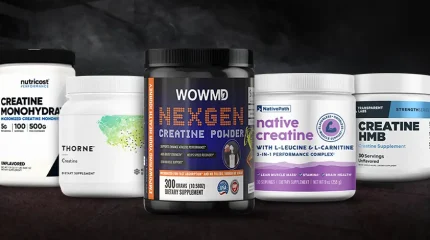 7 Best Creatine Powders for Strength, Endurance & Growth 2026