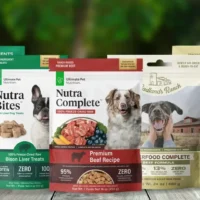best food for dogs