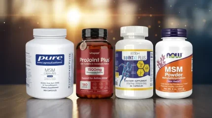 best-msm-supplements