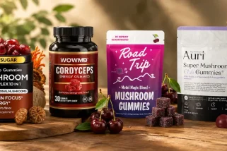 Les 6 meilleures gommes à mâcher aux champignons de 2026 pour l'énergie, la concentration, le calme et le bien-être quotidien